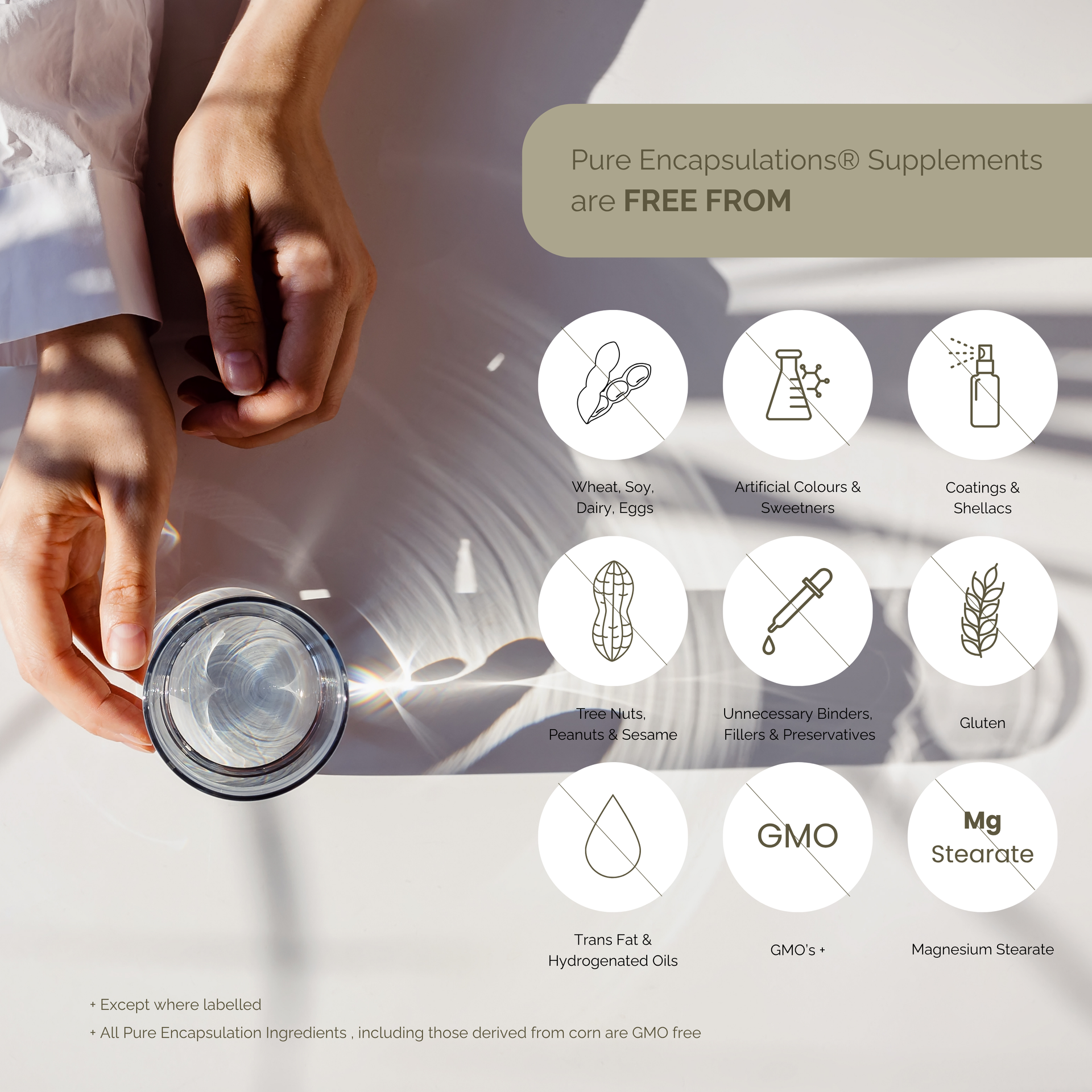 Pure Encapsulations free from gluten allergens GMOs wheat soy diary artificial sweeteners unnecessary binders preservatives trans fat  hydrogenated oils